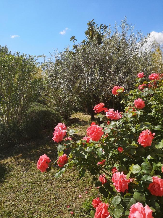 La Bastide Des Sources Apartamento Beaucaire  Exterior foto